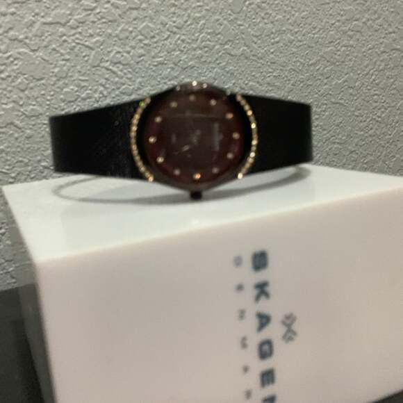 Skagen Denmark Women’s Watch Mesh‎ Steel Mother of Pearl Face w/Crystals NWT